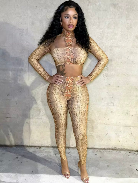 “Snake Scale” 2 Piece Set